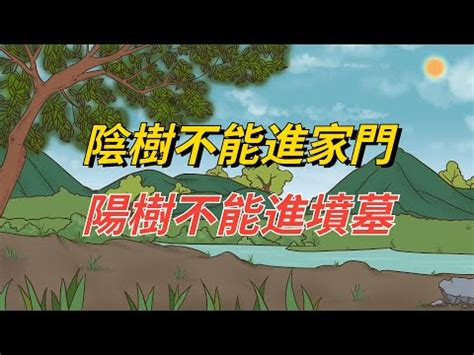 陰樹 陽樹|【陽樹 陰樹】 陽樹陰樹之分：揭開風水與植物學的奧秘